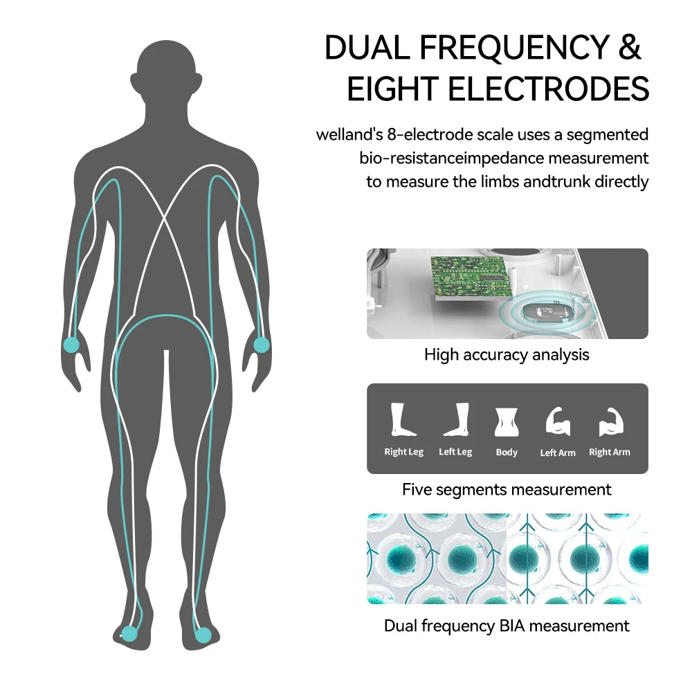 Smart Digital Body Composition Bathroom Scale